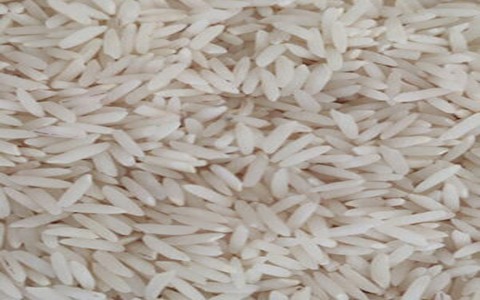 فروش برنج شمال ایرانی + قیمت خرید به صرفه